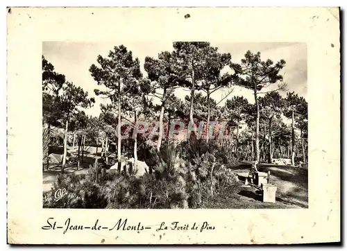 Cartes postales moderne St Jean De Monts La Foret De Pins