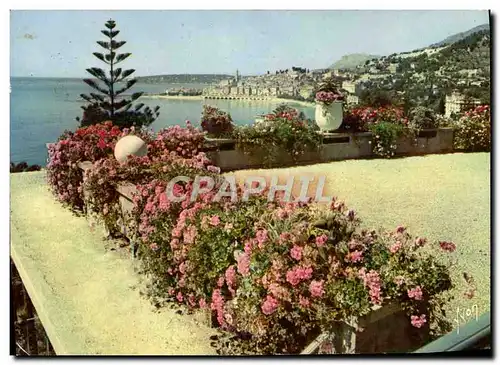 Cartes postales moderne Couleurs Et Lumiere De France La Cote D&#39Azur Miracle De La Narture Menton