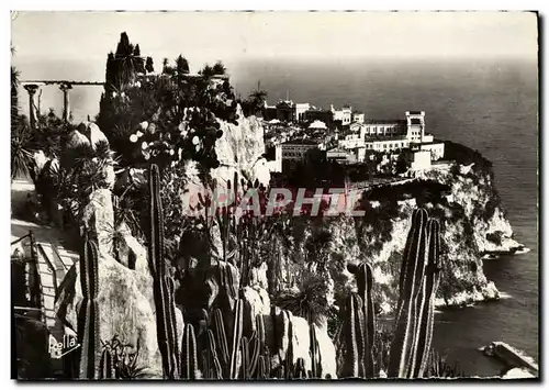 Cartes postales moderne La Cote d&#39Azur Monte Carlo Le Jardin Extoique Et Le Rocher De Monaco