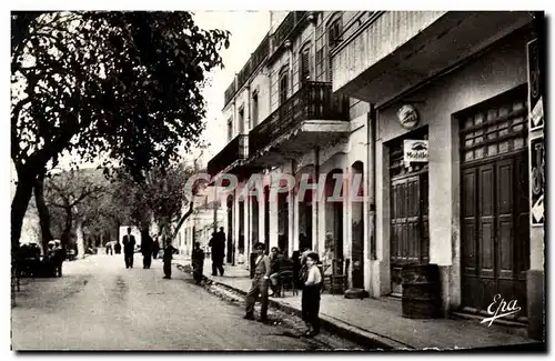 Cartes postales moderne Nedromah Rue Principale