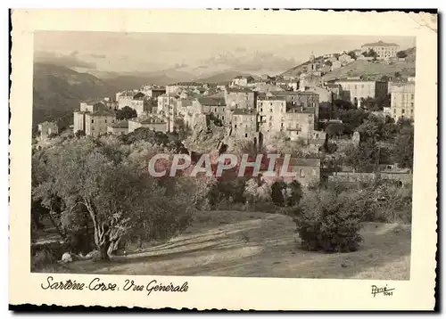 Cartes postales moderne Sarterre Corse Vue Generale
