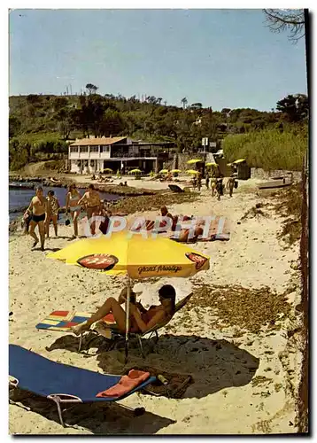 Cartes postales moderne Saint Tropez La Plage Des Salins