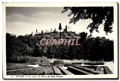 Cartes postales moderne Tomar Un Trecho Da Mata Des Sete Montes