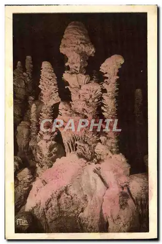 Cartes postales moderne L'Aven Armand Dans La Foret Vierge