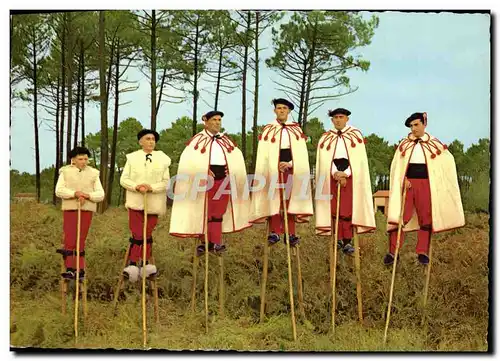 Cartes postales moderne Le Bordelais Pittoresque Les Tchanquayres Dans La Foret Du Porge Le Rondeau Bordelais Folklore