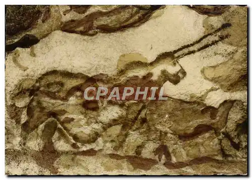 Cartes postales moderne Grotte Prehistorique de Lascaux Montignac sur Vezere