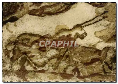 Moderne Karte Grotte Prehistorique de Lascaux Montignac sur Vezere