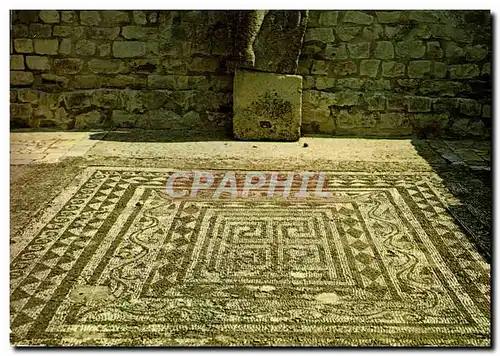 Cartes postales moderne Vaison La Romaine La Pompei francaise Mosaiques de la maison au Buste d&#39Argent