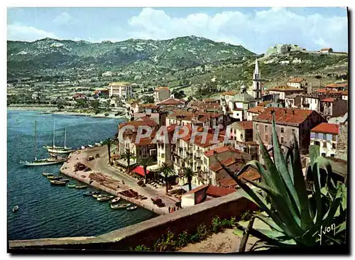 Cartes postales moderne Couleurs Et Lumiere De France La Corse oasis De Beaute Calvi La Basse Ville Et Le Port