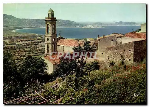 Cartes postales moderne Couleurs Et Lumiere De France La Corse Oasis De Beaute Lumio