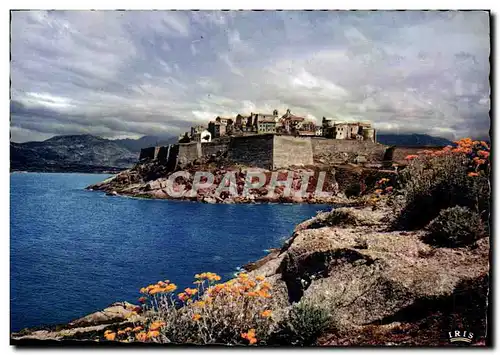 Cartes postales moderne Calvi La Citadelle