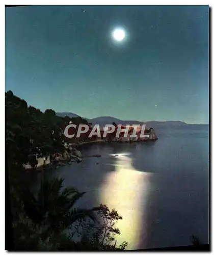 Cartes postales moderne La Cote d'Azur