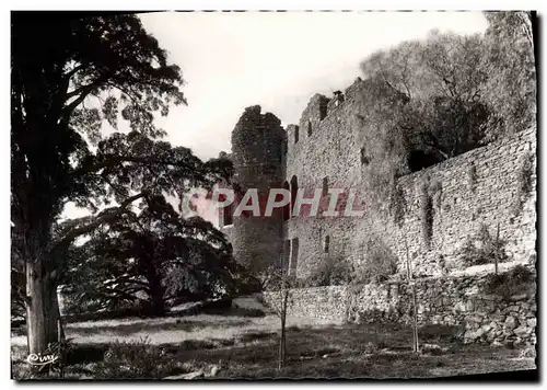 Cartes postales moderne Bormes Les Mimosas Le Vieux Chateau