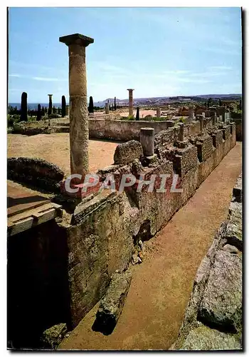 Cartes postales moderne Costa Brava Ampurias Ruinas romanas