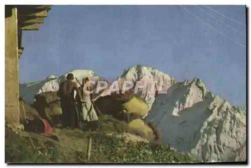 Cartes postales moderne Tarentaise