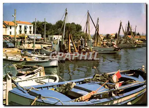 Cartes postales moderne Lumiere Et La Cote d'Azur Hyeres Les Palmiers Le Port Des Salins