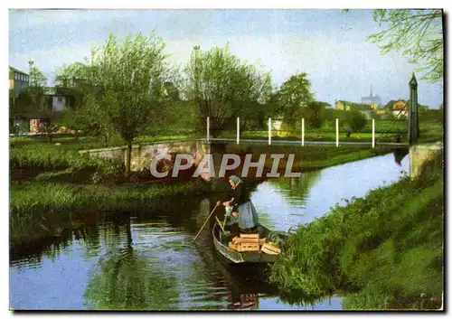 Cartes postales moderne Amiens Les Hortillonnages