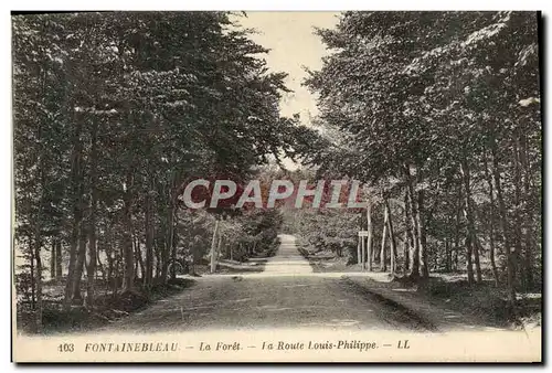 Cartes postales Fontainebleau Le Foret La Route Louis Philippe