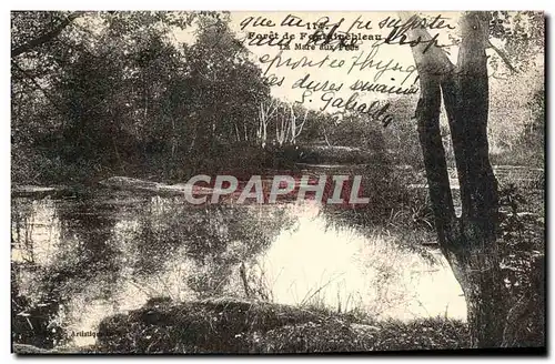 Cartes postales Foret De Fontainebleau La Mare Aux Fees