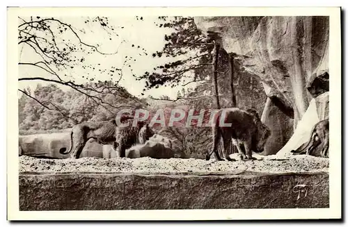 Cartes postales Paris Jardin Zoologique De Vincennes Les Rochers Les Lions Zoo