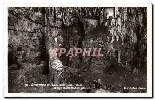 Cartes postales Gropttes D'Arcy Sur Cure Cierge Pascal Et Salon Gothique