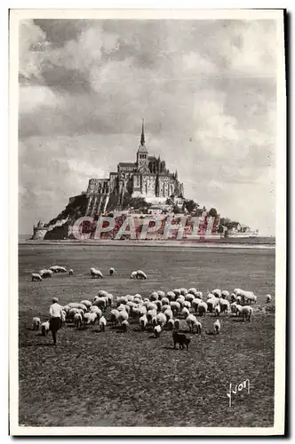 Cartes postales Le Mont Saint Michel Berger et moutons