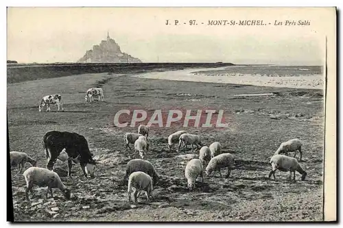 Cartes postales Mont St Michel Les Pres Sales Vache et moutons