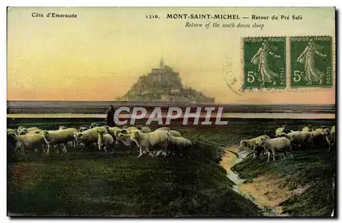 Cartes postales Mont Saint Michel Retour Du Pre Sale Bergere et moutons