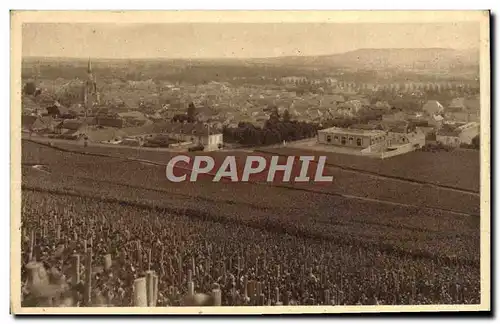 Cartes postales Champagne Pommery & Greno Reims Vignoble d'Ay Premier cru de raisins noirs