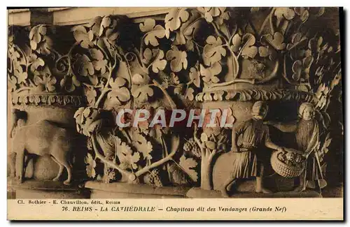 Cartes postales Reims La Cathedrale Chapiteau Dit Des Vendanges Grande nef