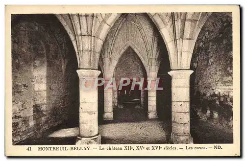 Cartes postales Montreuil Bellay Le Chateau Les caves