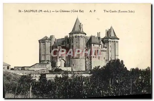 Cartes postales Saumur Le Chateau Vignes