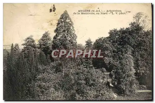 Cartes postales Angers Arboretum de la Maulevrie au Nord