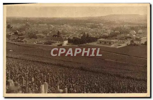 Cartes postales Reims Collection Champagne Pommery & Greno Vignoble d&#39Ay Premier cru de raisins noirs