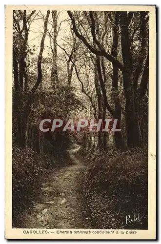 Cartes postales Carolles Chemin ombrage Conduisant a la Plage