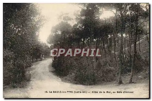 Cartes postales La Baule Les Pins Allee De La Mer Au Bois D&#39amour