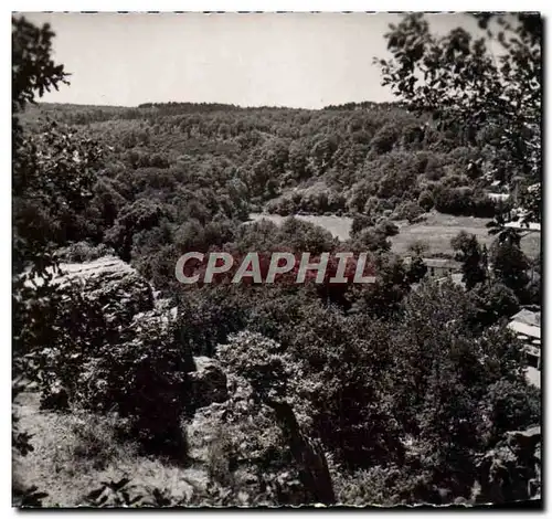 Cartes postales moderne Mervent Le Rocher Surplombant La Vallee De Pierre Brune