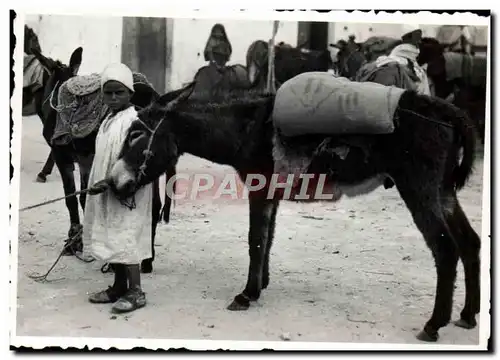 Photo Tunisie Enfant et son ane