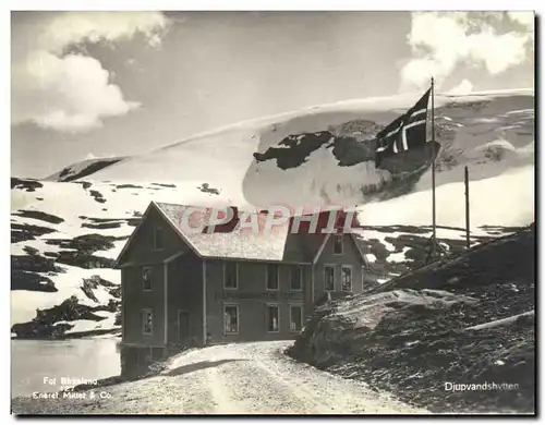 Cartes postales moderne Djupvandshvtten