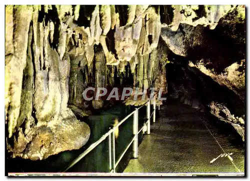 Cartes postales moderne Les Grottes De Betharram Les Champignons Renverses