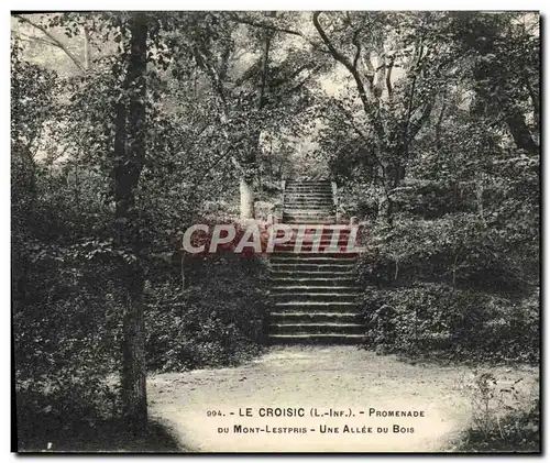 Ansichtskarte AK Le Croisic Promenade Du Mont Lestpris Une Allee Du Bois