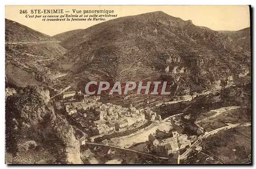 Cartes postales Gorges du Tarn Ste Enimie Vue Panoramique