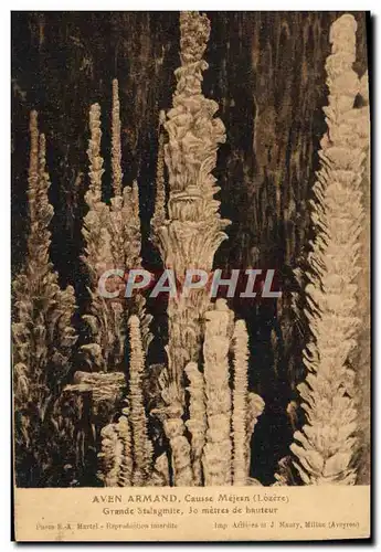 Cartes postales Gorges Du Tarn Aven Armand Causse Mejean Grande Stalagmite