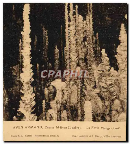 Cartes postales Gorges Du Tarn Aven Armand Causse Mejean La Foret Vierge