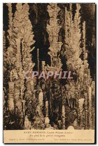 Cartes postales Gorges Du Tarn Aven Armand Causse Mejean Au pied de la grande stalagmite