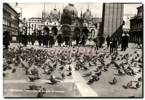 Ansichtskarte AK Venezia Piccioni in Piazza S Marco