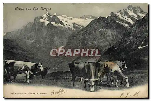 Cartes postales Gruss Aus Des Bergen Vaches