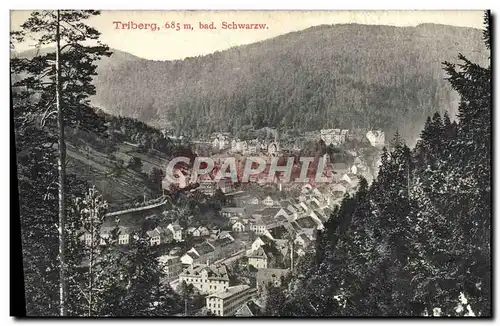 Cartes postales Triberg Bad Schwarzw