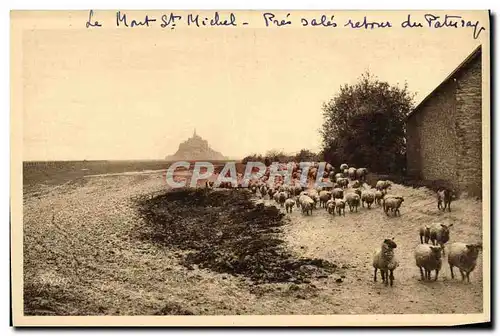 Ansichtskarte AK La Douce France Le Mont St Michel Pres Sales Retour Du Paturage Moutons