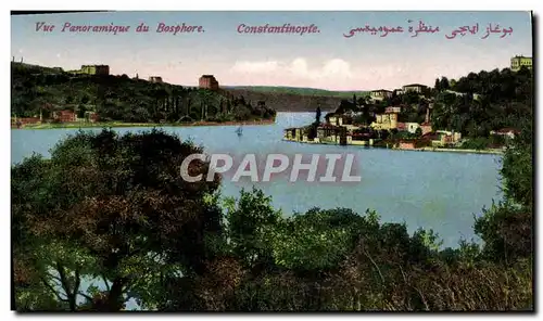 Cartes postales Constantinople Vue Panoramique Du Bosphore Turquie